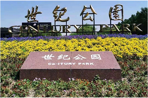 ZHSU PROJEKT-SHANGHAI CENTURY PARK